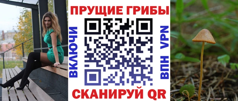 Галлюциногенные грибы прущие грибы  Динская 